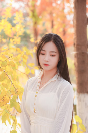 香蕉尹人在线观看免费下载